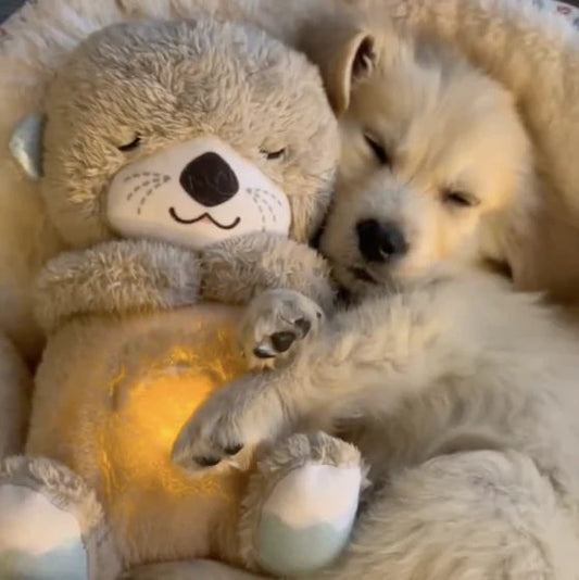 Anxiety-Relief Plush sitting on a couch