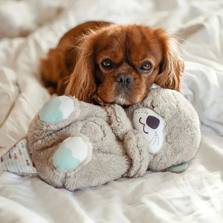 Adult holding the Anxiety-Relief Plush