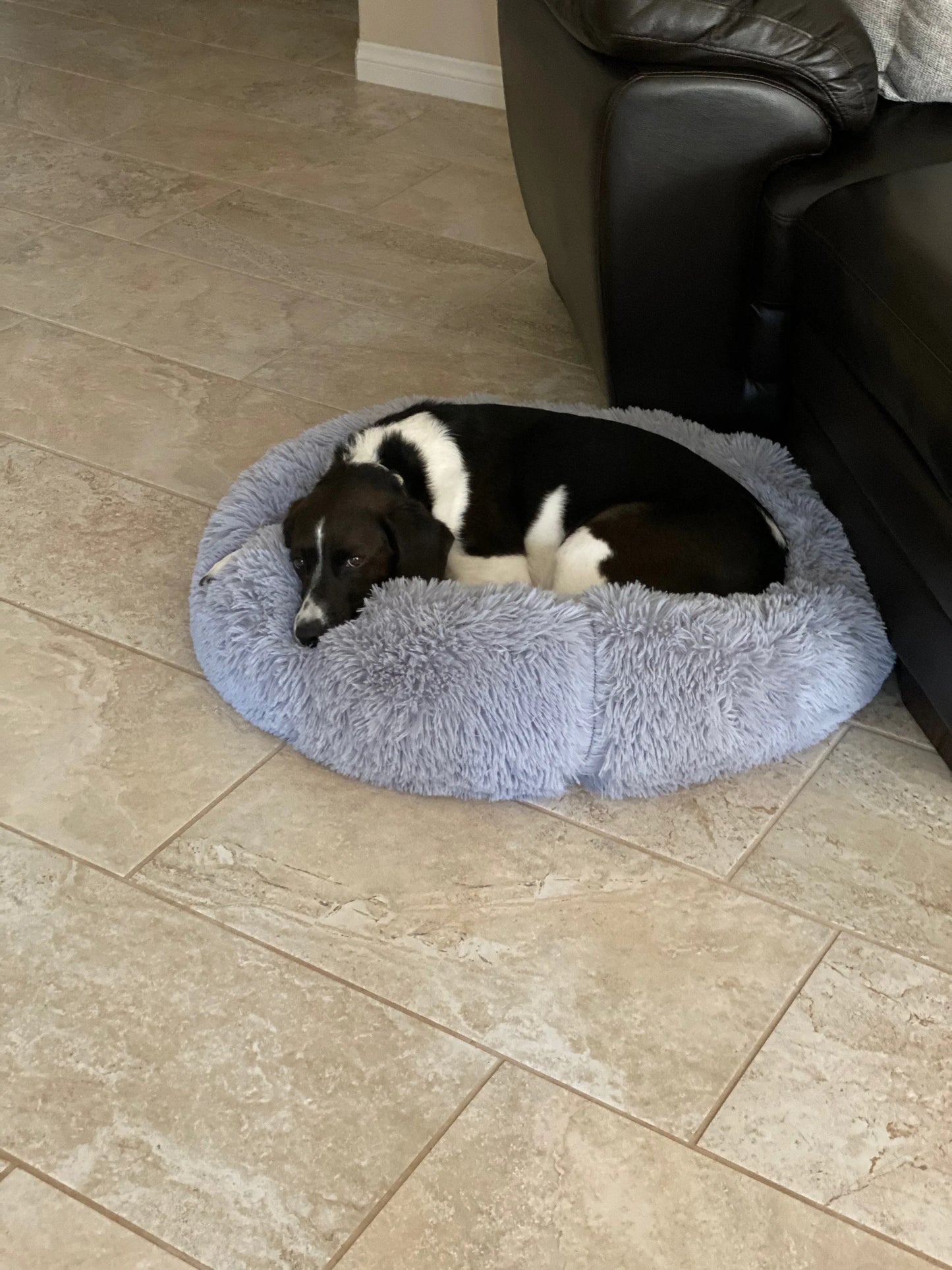 Mr. Peanut’s OrthoPlush® Pet Bed 🐾